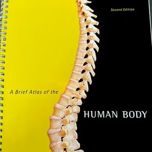 A brief atlas of the human body